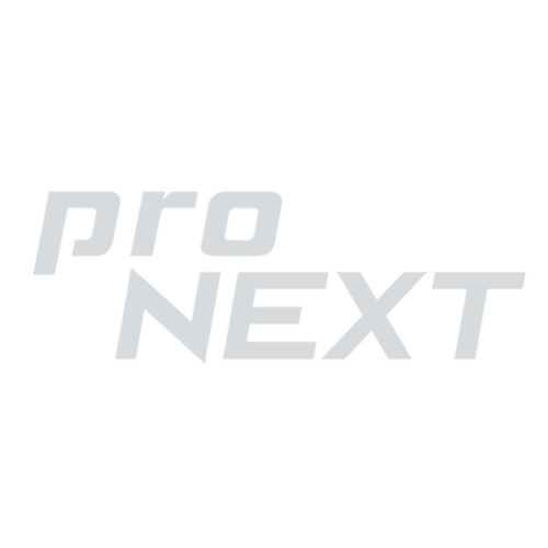 logo pronext